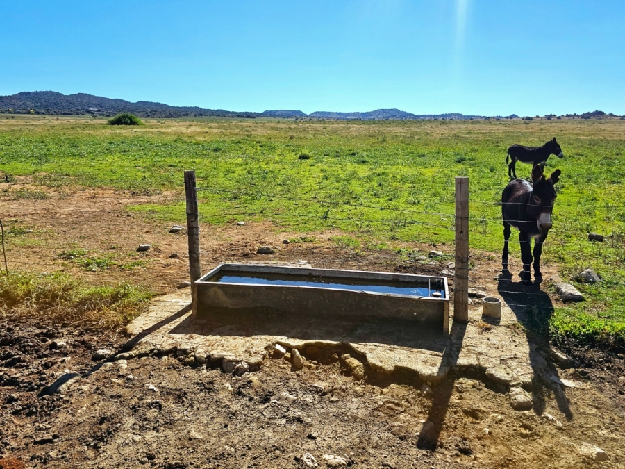 4 Bedroom Property for Sale in Bloemfontein Rural Free State